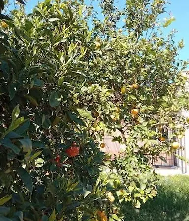 La Rossi With Pool 4 * Gallipoli